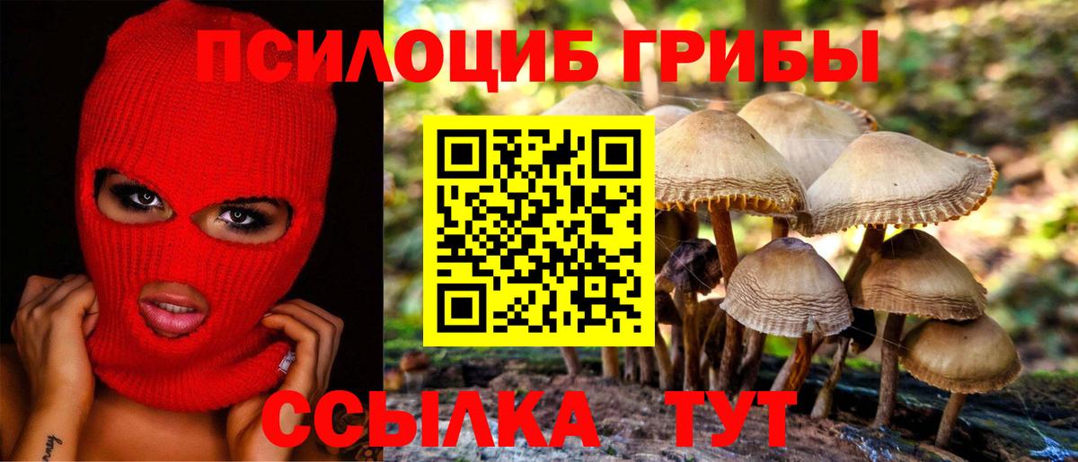 Галлюциногенные грибы прущие грибы  Вход с VPN  Заводоуковск 
