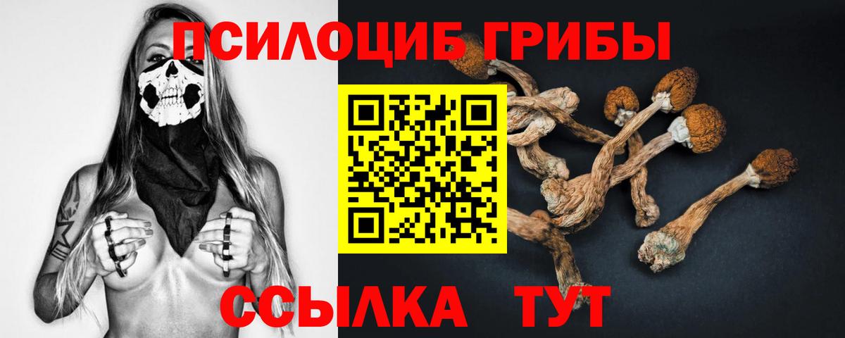 Галлюциногенные грибы Magic Shrooms Заводоуковск